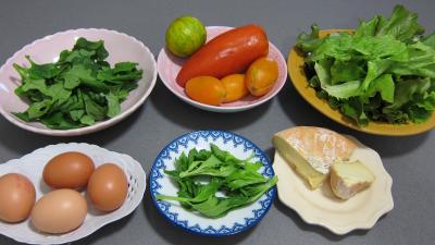 Ingrédients pour la recette : Tétragone en salade