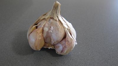 bulbe d'ail