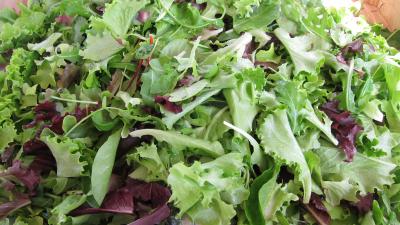 Image : Mesclun - Salade mesclun