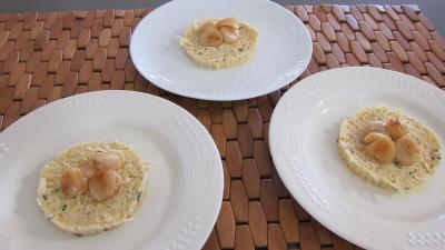 Rémoulade de céleri-rave et pommes et noix de saint-Jacques - 5.2