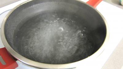 Magrets à la maraîchère - 4.3