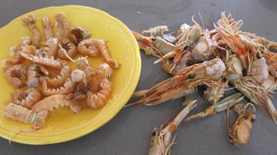 Langoustines et sauce au floc de Gascogne - 3.4