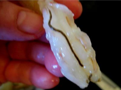 Crevettes et moules aux artichauts - 1.3