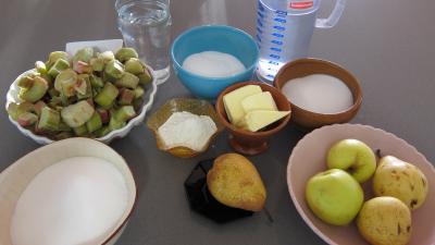 Ingrédients pour la recette : Rhubarbe, croustillants, granité pommes poires