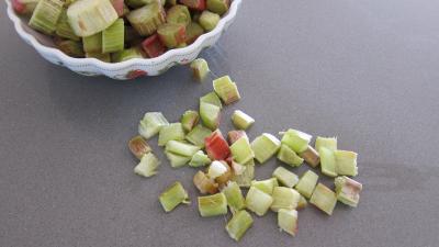 Rhubarbe, croustillants, granité pommes poires - 5.1