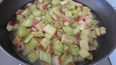 Rhubarbe, croustillants, granité pommes poires - 5.3