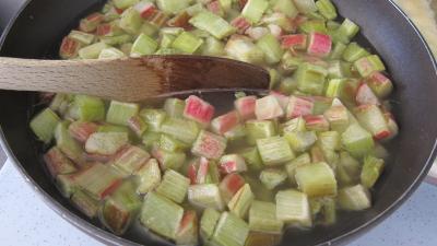 Rhubarbe, croustillants, granité pommes poires - 6.1