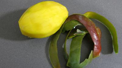 Mangue en sauce - 1.4