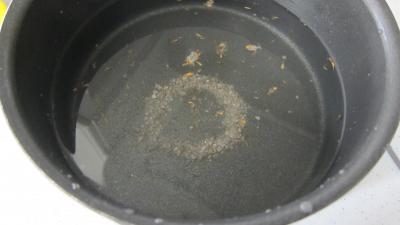 Citrouille et son magret en salade - 3.2