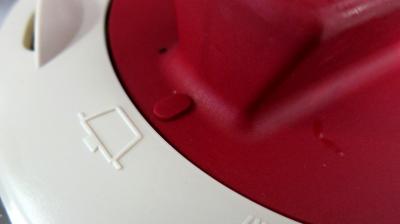 Sot l'y laisse de dinde au colombo - 6.3