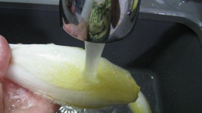 Nids d'Alsace aux endives - 3.1