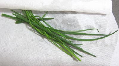 Médaillons de perche et sa crème de légumes - 2.4
