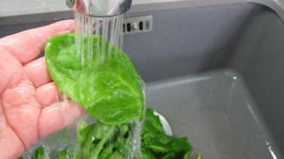 Epinards à la crème fondante et tagliatelles - 1.2