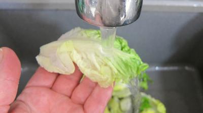 Crêpes en salade aux légumes variés - 1.2