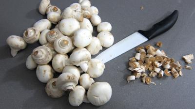 Ragoût de boeuf aux champignons à la juive - 2.2