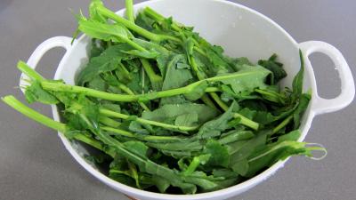 Salade de broutes - 2.3