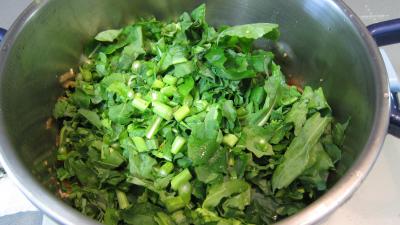 Broutes et blancs de poulet en soupe - 7.3