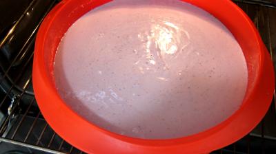 Gâteau aux fromages à la purée fraises, myrtilles, cassis Vitabio - 5.2