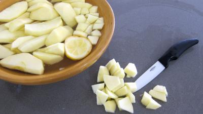 Boudins aux pommes et ananas à la purée de framboises Vitabio - 4.2