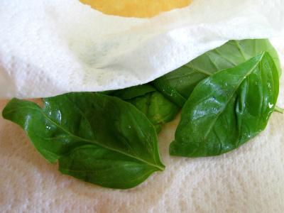 Sauce vinaigrette au basilic - 2.2