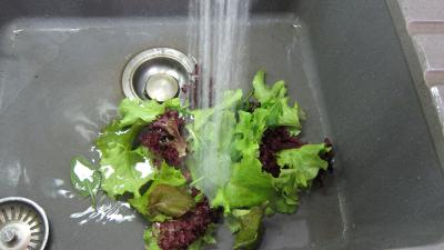 Limandes et sa salade de pousses de bambou et graines germées - 2.2