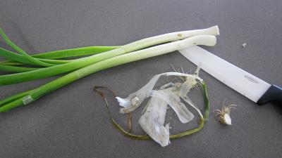 Limandes et sa salade de pousses de bambou et graines germées - 2.4