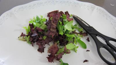 Limandes et sa salade de pousses de bambou et graines germées - 4.2