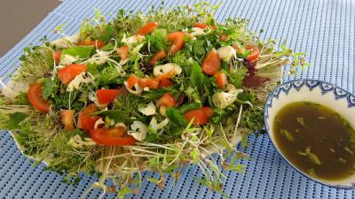 Limandes et sa salade de pousses de bambou et graines germées - 4.4