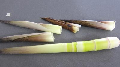 Pousses de bambou et asperges gratinées - 1.4