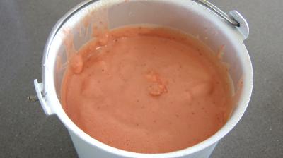 Glace aux fraises - 5.3