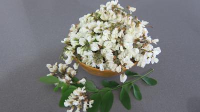 fleur acacia