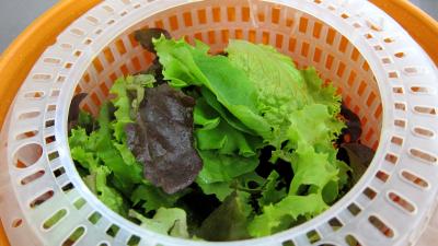 Restes de poulet en salade - 1.2