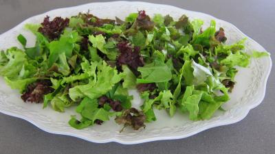 Restes de poulet en salade - 4.1