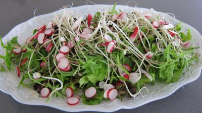 Restes de poulet en salade - 4.3