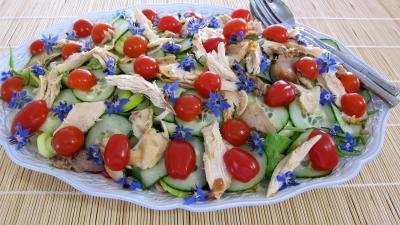 concombre : Assiette de restes de poulet en salade