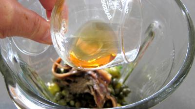 Tapenade - 2.2