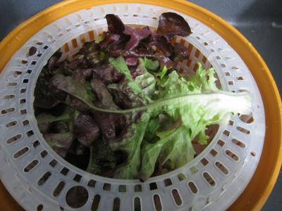 Magrets en brochettes à la plancha en salade - 1.2