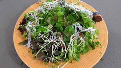 Magrets en brochettes à la plancha en salade - 3.2