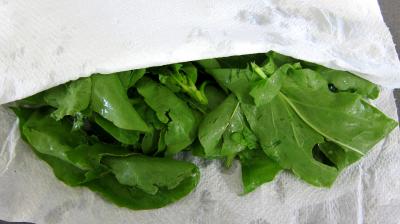 Dolmas aux épinards revisités - 1.2