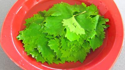 Dolmas aux épinards revisités - 2.2