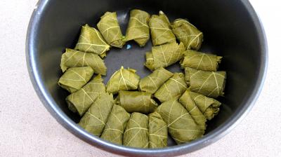 Dolmas aux épinards revisités - 11.3