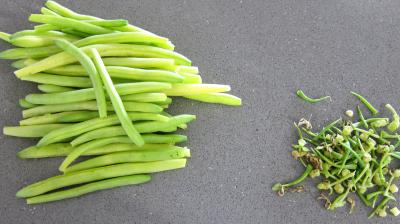 Ballotins d'asperges, d'haricots beurre et carottes - 1.2