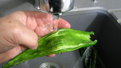 Piments doux en salade - 2.2