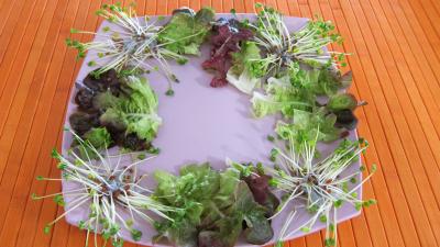 Piments doux en salade - 7.1