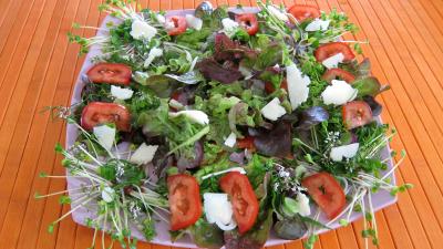 Piments doux en salade - 7.3