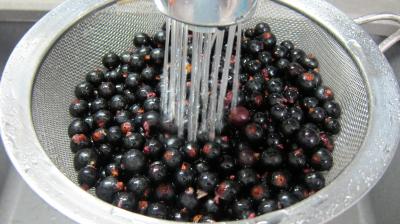 Glace ou crème glacée au cassis - 1.2
