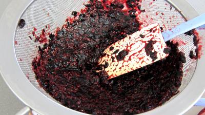 Glace ou crème glacée au cassis - 5.2