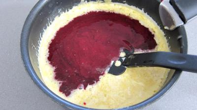 Glace ou crème glacée au cassis - 5.4