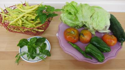 Ingrédients pour la recette : Salade haricots beurre du jardin