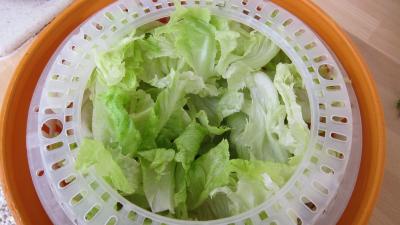 Salade haricots beurre du jardin - 1.2